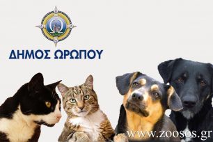 Συγκροτήθηκε 5μελής Επιτροπή Διαχείρισης Αδέσποτων Ζώων Συντροφιάς στον Δήμο Ωρωπού