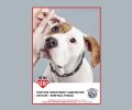 «Γίνε ο ήρωας του»: Εκστρατεία ευαισθητοποίησης  κατά της εγκατάλειψης σκύλων στα Βαλκάνια από τον Παγκόσμιο Οργανισμό για την Υγεία των Ζώων