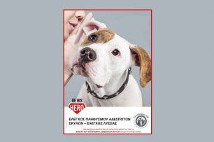 «Γίνε ο ήρωας του»: Εκστρατεία ευαισθητοποίησης  κατά της εγκατάλειψης σκύλων στα Βαλκάνια από τον Παγκόσμιο Οργανισμό για την Υγεία των Ζώων