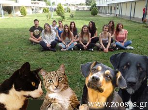 Φοιτητές της Κτηνιατρικής Σχολής του Πανεπιστημίου Θεσσαλίας βοηθούν εθελοντικά τ’ αδέσποτα