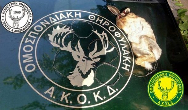 Λασίθι: Συνέλαβαν επ’ αυτοφώρω κυνηγό να σκοτώνει λαγό που είχε πιάσει με συρμάτινη θηλιά