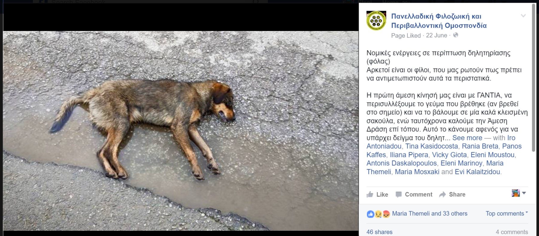 Οδηγίες για το πως κάνουμε καταγγελία αν βρούμε αδέσποτα ζώα δηλητηριασμένα ή νεκρά από φόλες 1 PFPOodigiesFb