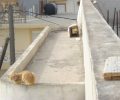 Ηράκλειο Κρήτης: Κατήγγειλε τον άνδρα που έριξε γατάκι από την ταράτσα τριώροφης οικοδομής