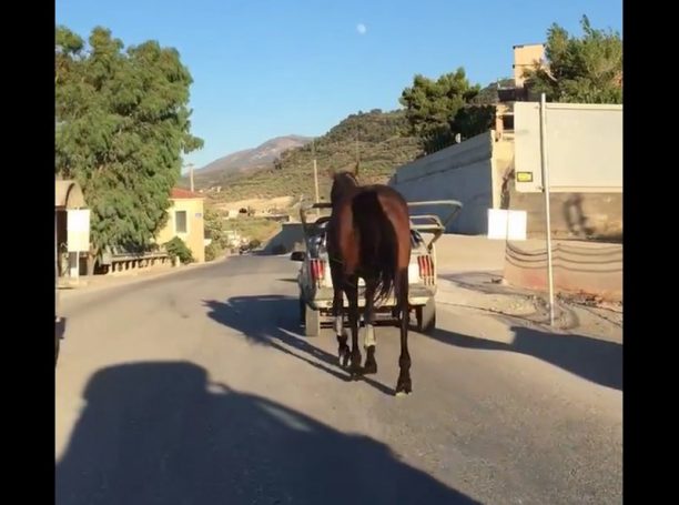Ακράτα: Σε όχημα χωρίς πινακίδες έδεσε άλογο θέτοντας σε κίνδυνο ζώο και διερχόμενους (βίντεο)