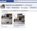 Σελίδες μίσους και προτροπής εξόντωσης και βασανισμού ζώων στο facebook