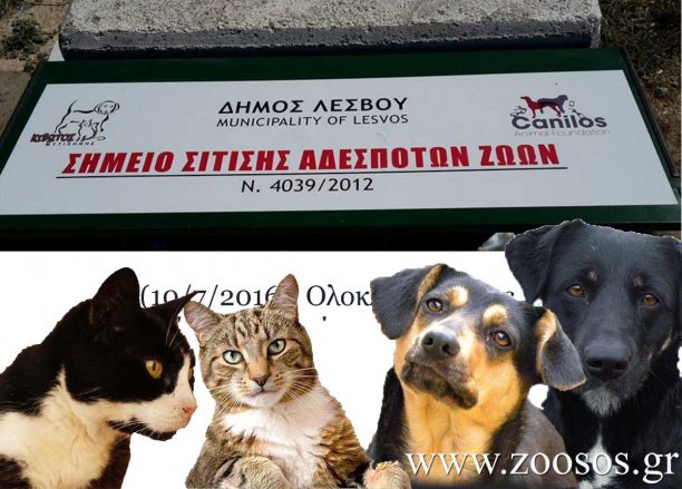 Λέσβος: Με καθυστέρηση τοποθετήθηκαν τελικά 5 ταΐστρες – ποτίστρες για τ’ αδέσποτα ζώα στη Μυτιλήνη