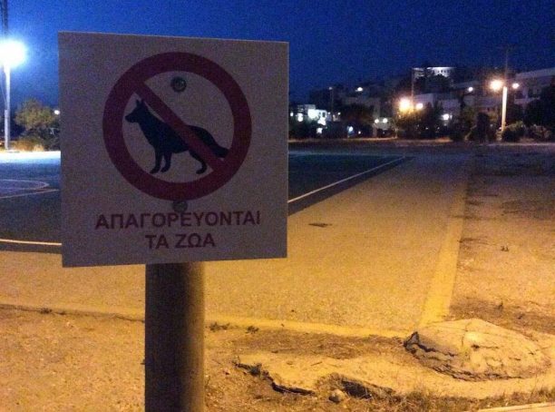 Ο Δήμος Νάξου αντί να φροντίζει ως οφείλει τ’ αδέσποτα ζώα τοποθετεί παράνομες πινακίδες που απαγορεύουν την παρουσία τους…