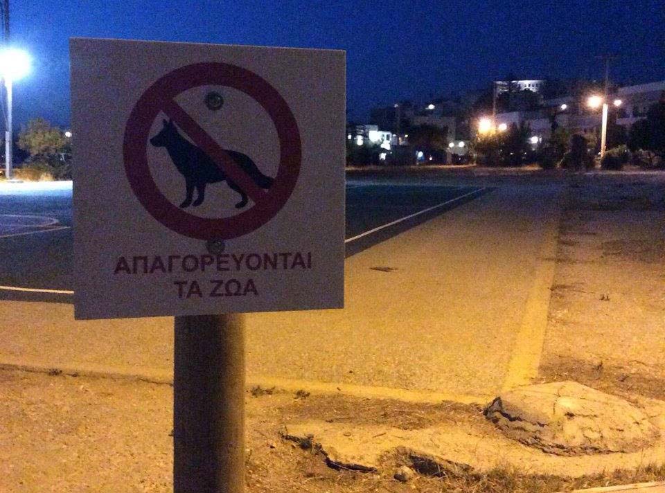 Ο Δήμος Νάξου αντί να φροντίζει ως οφείλει τ’ αδέσποτα ζώα τοποθετεί παράνομες πινακίδες που απαγορεύουν την παρουσία τους…