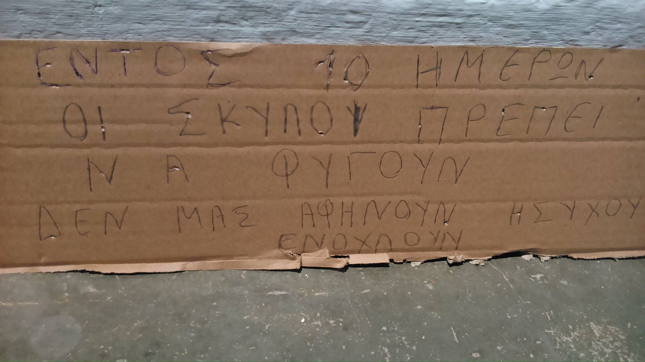 Με «τελεσίγραφα» απειλούν τα αδέσποτα ζώα και όσους τα φροντίζουν στο Σμάρι της Κρήτης 1 SmariMinoaPediadasApeiles (1)