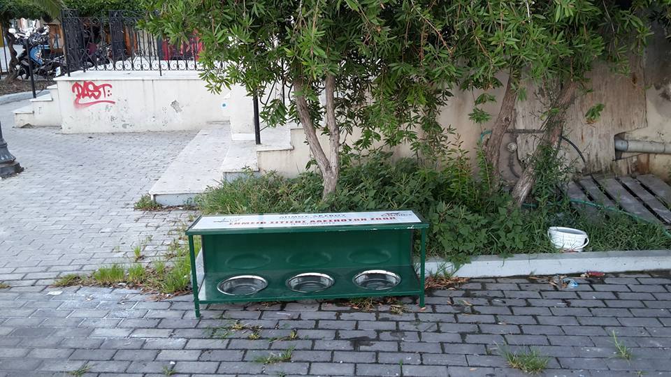 Λέσβος: Με καθυστέρηση τοποθετήθηκαν τελικά 5 ταΐστρες – ποτίστρες για τ’ αδέσποτα ζώα στη Μυτιλήνη 1 TaistresMytilinis2016 (3)