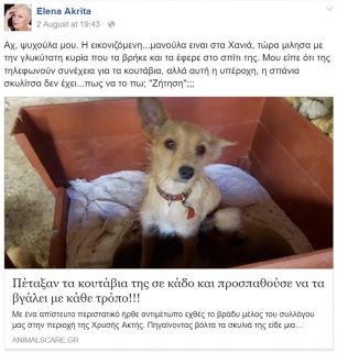 Η Έλενα Ακρίτα υιοθέτησε την σκυλίτσα που προσπαθούσε να βγάλει τα κουτάβια της από κάδο σκουπιδιών στην Χρυσή Ακτή