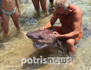 Οικολόγοι Πράσινοι: Δεν παίζουμε με τα προστατευόμενα είδη της θάλασσας!