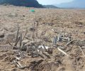 Καταστροφές σε τουλάχιστον 150 φωλιές χελωνών caretta – caretta στον Κυπαρισσιακό κόλπο από τους ντόπιους καταγγέλλει ο ΑΡΧΕΛΩΝ
