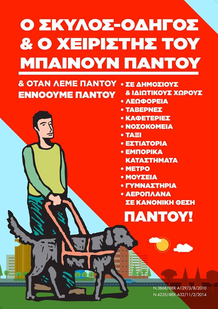 Μετά την δημόσια καταγγελία επέτρεψαν την είσοδο σκύλων – οδηγών τυφλών ατόμων στο κολυμβητήριο 3 afisaskylosodigostyflou
