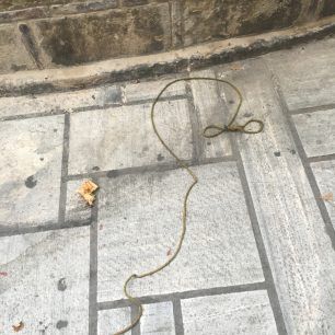 Έδεσε και εγκατάλειψε στο κέντρο της Αθήνας τον τραυματισμένο σκύλο ράτσας Πίτμπουλ 9 AiolouPitbullEgkatalipsi 1