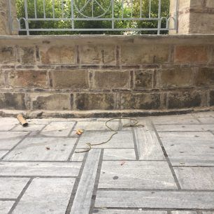 Έδεσε και εγκατάλειψε στο κέντρο της Αθήνας τον τραυματισμένο σκύλο ράτσας Πίτμπουλ 8 AiolouPitbullEgkatalipsi 2