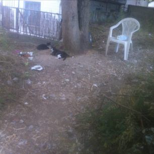 AstegosTasosFaliroThessaloniki 4