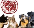 Ο Δήμος Αγρινίου καλεί τους δημότες να δηλώσουν τα κατοικίδια ζώα συντροφιάς όπως ορίζει η νομοθεσία