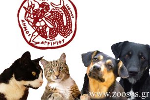 Ο Δήμος Αγρινίου καλεί τους δημότες να δηλώσουν τα κατοικίδια ζώα συντροφιάς όπως ορίζει η νομοθεσία