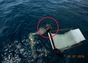 Απελευθέρωσαν υγιή την θαλάσσια χελώνα που είχε παγιδευτεί σε ξαπλώστρα στη μαρίνα του Φαλήρου