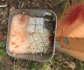 Χαλάνδρι: Μέχρι και κομμάτια από πλακάκια τοίχου έβαλαν σε τροφή για τα αδέσποτα