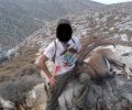 «Οικολόγοι» κυνηγοί σκότωσαν Κρι – κρι στην Κρήτη και ανέβασαν φωτογραφίες στο facebook