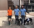 Βλέποντας με τα μάτια ενός σκύλου - οδηγού τυφλών ατόμων στην 81η Διεθνή Έκθεση Θεσσαλονίκης
