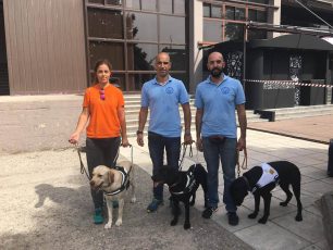 Βλέποντας με τα μάτια ενός σκύλου - οδηγού τυφλών ατόμων στην 81η Διεθνή Έκθεση Θεσσαλονίκης