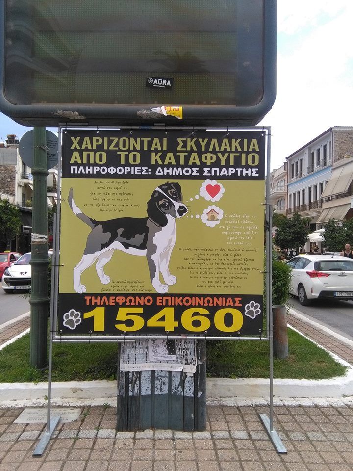 Πρόσκληση για την υιοθεσία των σκυλιών που ζουν έγκλειστα στο δημοτικό κυνοκομείο απευθύνει ο Δήμος Σπάρτης 1 SpartiPinakida 1