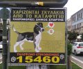 Πρόσκληση για την υιοθεσία των σκυλιών που ζουν έγκλειστα στο δημοτικό κυνοκομείο απευθύνει ο Δήμος Σπάρτης
