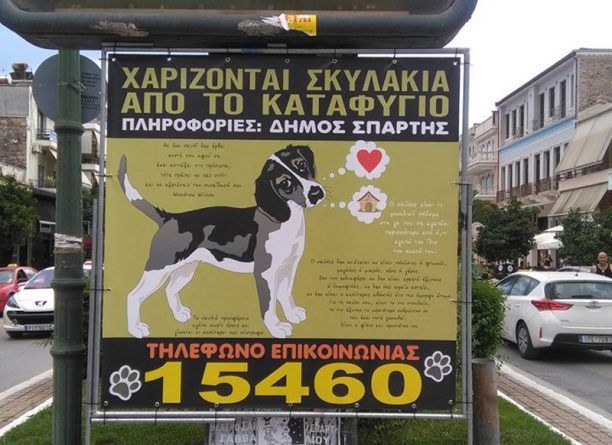 Πρόσκληση για την υιοθεσία των σκυλιών που ζουν έγκλειστα στο δημοτικό κυνοκομείο απευθύνει ο Δήμος Σπάρτης