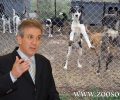 Ο «πολιτισμένος» δήμαρχος Σερρών ζητάει θανάτωση αδέσποτων σκυλιών & μετά δίνει «διευκρινίσεις» για να περιορίσει αντιδράσεις (βίντεο)