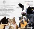 Νέα εγκύκλιος από την ΕΛ.ΑΣ. προς αστυνομικούς ώστε να εφαρμόζουν τη νομοθεσία για την προστασία των ζώων & να μην αδιαφορούν στις καταγγελίες
