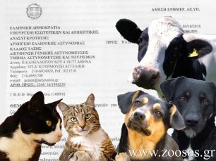 Νέα εγκύκλιος από την ΕΛ.ΑΣ. προς αστυνομικούς ώστε να εφαρμόζουν τη νομοθεσία για την προστασία των ζώων & να μην αδιαφορούν στις καταγγελίες