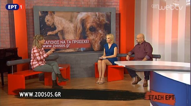 Ελ. Ηλιοπούλου στην ΕΡΤ1: Φασιστικές οι δηλώσεις του δημάρχου Σερρών που ζητάει θανάτωση υγειών αδέσποτων ζώων (βίντεο)