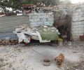8-11-2016 δικάζεται ο ηλικιωμένος βοσκός που συστηματικά κακοποιεί ζώα στο Κρυονέρι Αττικής (βίντεο)