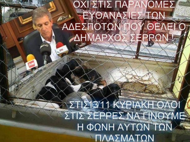 Συγκέντρωση διαμαρτυρίας 13/11 στις Σέρρες κατά του δημάρχου Π. Αγγελίδη που θέλει την θανάτωση των αδέσποτων σκυλιών