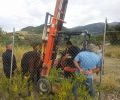 Συνελήφθη ο ιδιοκτήτης του αλόγου που αργοπέθαινε εγκαταλελειμμένο σε χωράφι στο Βελβίτσι Αχαΐας
