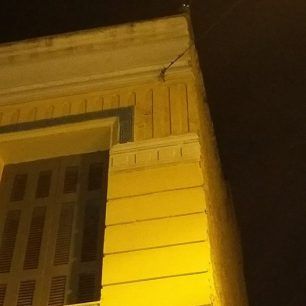 Έκκληση για την σωτηρία της γάτας που κάποιος πέταξε στα κεραμίδια εγκαταλελειμμένου κτιρίου στην Αθήνα 4 Florinis1GatakiAgiosPanteleimonas 3