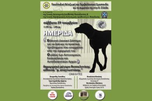 Ημερίδα για την κακοποίηση των ζώων & τη νομοθεσία διοργανώνει η Π.Φ.Π.Ο. & η ΕΛ.ΑΣ. στη Θεσσαλονίκη στις 19 Νοεμβρίου