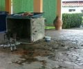 Τουρίστρια βρήκε σε ξενοδοχείο στην Κέρκυρα σκύλο αλυσοδεμένο σε κάδο σκουπιδιών