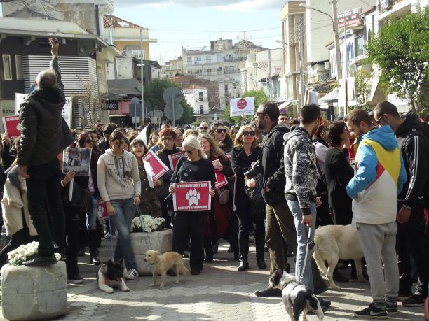 Δυναμική διαμαρτυρία έξω από το Δημαρχείο Σερρών κατά του δημάρχου Π. Αγγελίδη που επιδιώκει την θανάτωση των αδέσποτων (βίντεο)