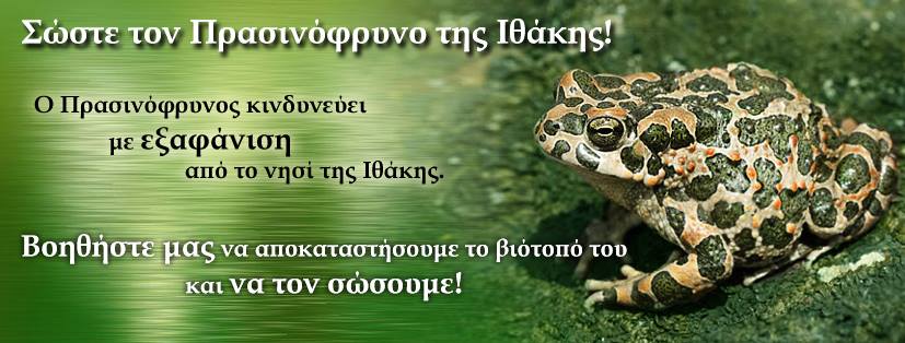 Βοηθήστε στη σωτηρία του Πρασινόφρυνου, του βατράχου της Ιθάκης που κινδυνεύει με εξαφάνιση 1 vatraxosithakis-2