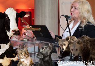 Τη θεσμοθέτηση Εισαγγελέα Ζώων & στη Θεσσαλονίκη προανήγγειλε η αντεισαγγελέας Εφετών Ε. Χρυσογιάννη