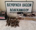 Διεύθυνση Δασών Δωδεκανήσου: Παράνομη η σύλληψη, αιχμαλωσία, πώληση άγριων ωδικών πτηνών της ελληνικής ορνιθοπανίδας