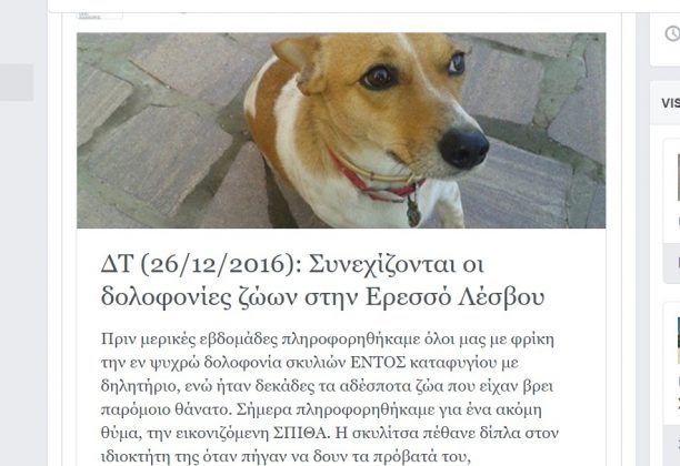 Συνεχίζονται οι δολοφονίες ζώων με φόλες στην Ερεσό Λέσβου