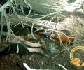 Νάξος: Κυνηγός έκρυψε την παραποιημένη καραμπίνα του για να ξεφύγει από τον έλεγχο
