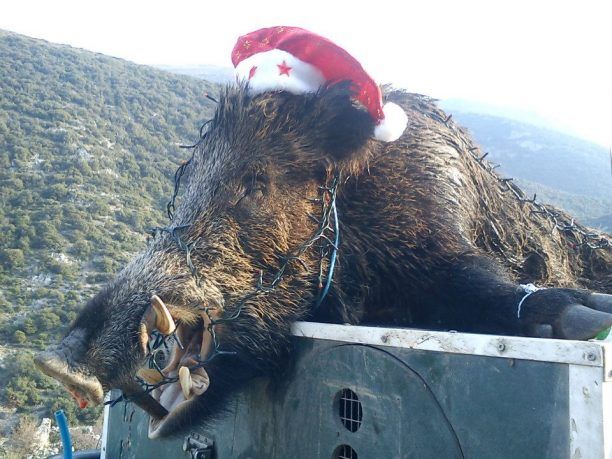 Κάπως έτσι γιορτάζει ο Έλλην χριστιανός κυνηγός…