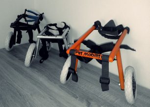 Η Pet Mobility και τα αναπηρικά αμαξίδια για κατοικίδια σας περιμένουν στο Ζάππειο στις 17/12