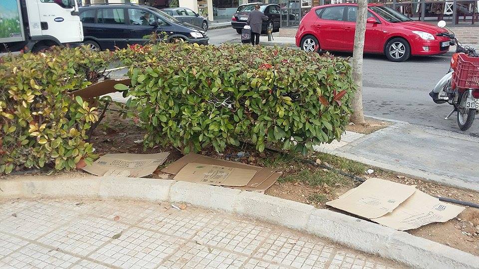 Ο Δήμος Αιγάλεω πέταξε τα 3 σκυλόσπιτα που προστάτευαν αδέσποτα γιατί τα χαρακτήρισε «αυθαίρετες κατασκευές» 2 AigaleoSkylospita13 1 2017 1